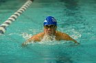 Swimming vs Bentley  Wheaton College Swimming & Diving vs Bentley College. - Photo by Keith Nordstrom : Wheaton, Swimming & Diving